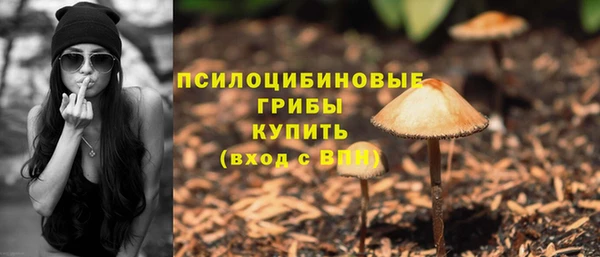 MDMA Premium VHQ Михайлов