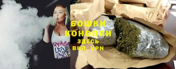 сатива Медногорск