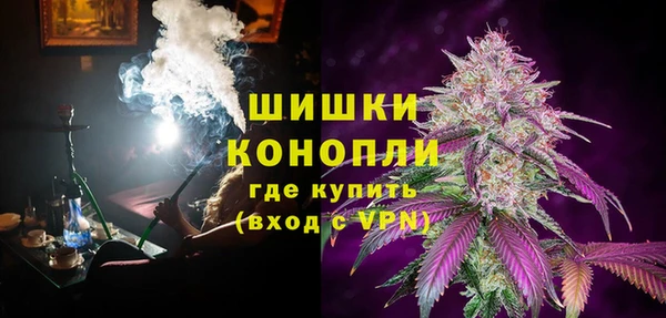 ПСИЛОЦИБИНОВЫЕ ГРИБЫ Магас