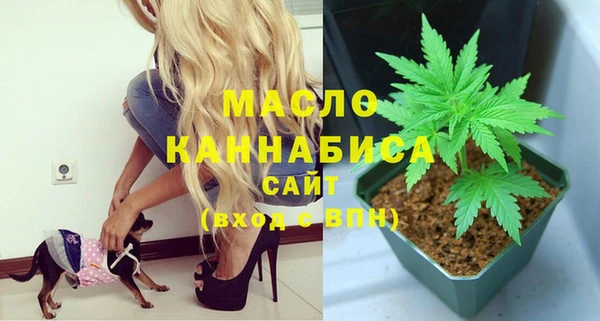 сатива Медногорск