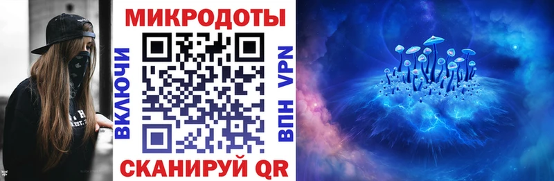 mega ссылка  Волгоград  Псилоцибиновые грибы Psilocybine cubensis 
