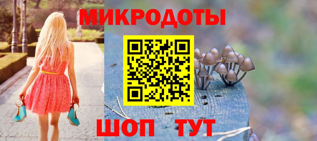 Псилоцибиновые грибы мицелий  Волгоград  Галлюциногенные грибы мухоморы 